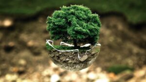 environmental-protection-g09b9ecad0_1280
