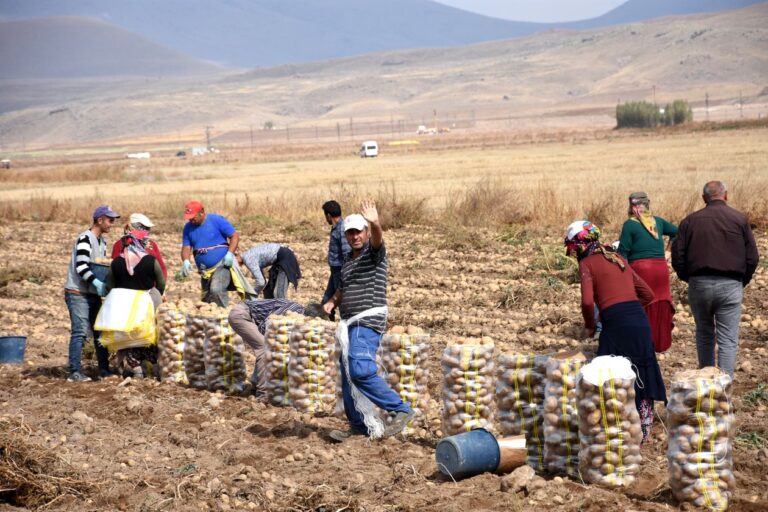 Concepto 007816 del 08-05-2026. Impuesto sobre la renta. 9 Agricultores cosechan y empacan papa