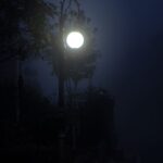 Poste de alumbrado público encendido en una calle de noche con niebla