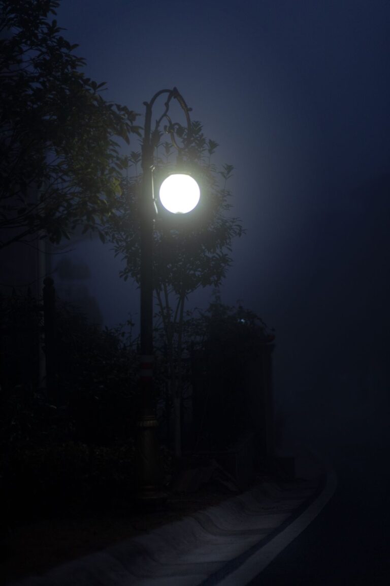 Poste de alumbrado público encendido en una calle de noche con niebla