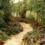 Sentencia 30217 del 25-09-2026. Territorial. Impuesto predial. Exclusión de inmuebles afectados al uso público y efectos del reconocimiento. Sendero de un jardín botánico rodeado de plantas tropicales