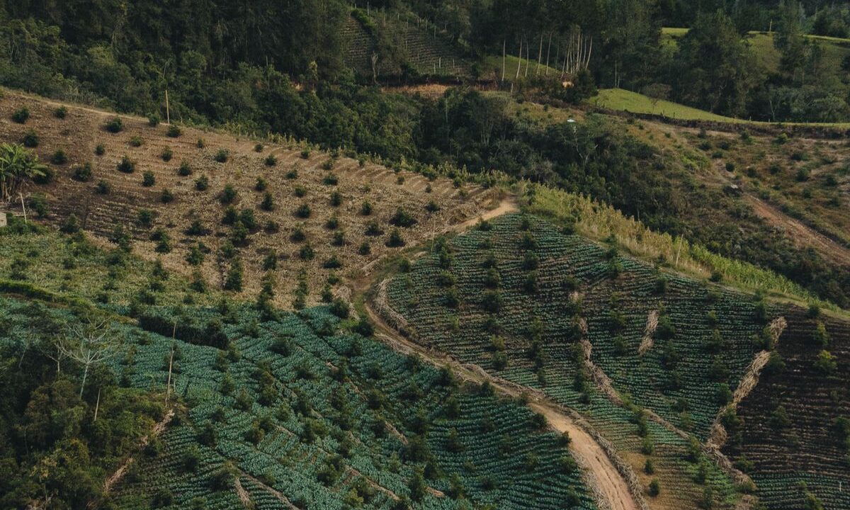 Sentencia 30939 del 25-09-2026. Territorial. Impuesto predial. Tarifas diferenciales para predios rurales según su destinación económica. 11 Vista aérea de terrenos agrícolas en zona rural