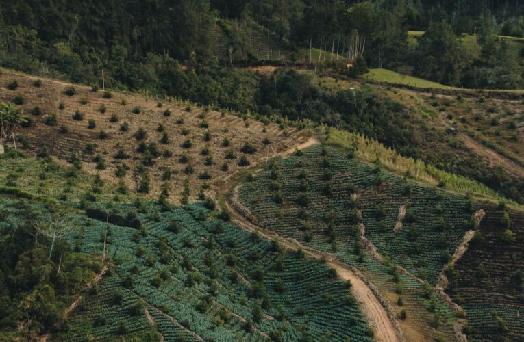 Vista aérea de terrenos agrícolas en zona rural