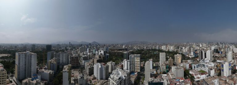 Vista aérea de una ciudad con edificios altos
